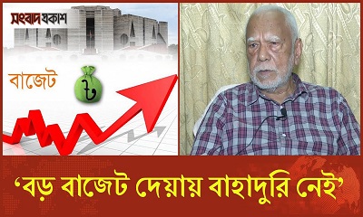 বাজেট বড় করতে গিয়ে ধারদেনা করা ঠিক হবে না