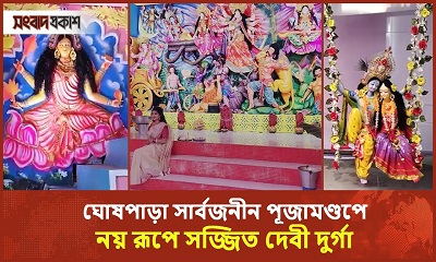 ঘোষপাড়া সার্বজনীন পূজামণ্ডপে নয় রূপে সজ্জিত দেবী দুর্গা