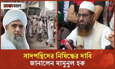 সাদপন্থিদের সন্ত্রাসী আখ্যা দিয়ে নিষিদ্ধের করতে হবে : মামুনুল হক