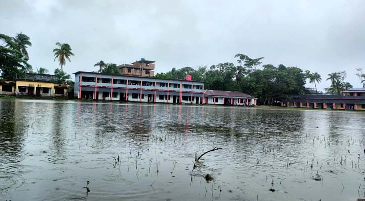 বৃষ্টিতে ডুবল স্কুলমাঠ, রাসেলস ভাইপার আতঙ্কে শিক্ষার্থীরা