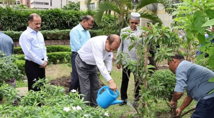 নির্বাচন ভবনে সফেদা গাছ লাগালেন সিইসি