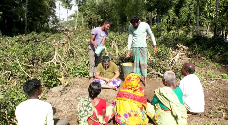 চা বাগান উপড়ে ফেলে দুধ দিয়ে গোসল করলেন চাষি