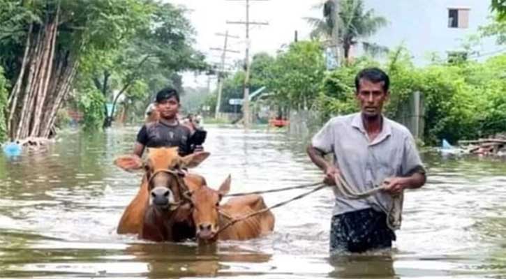 বন্যার্তদের পাশে দাঁড়ানোর আহ্বান কাদেরের