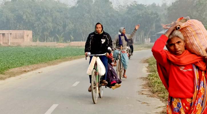 ঠাকুরগাঁওয়ে হিমেল হাওয়া ও ঘন কুয়াশায় বিপর্যস্ত জনজীবন