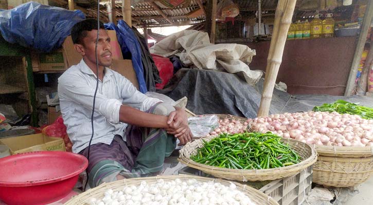 দুই সপ্তাহে কাঁচা মরিচের দাম দ্বিগুণ