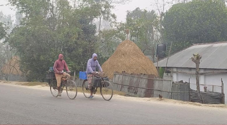 শীতে কাবু কুড়িগ্রাম, বৃষ্টির মতো ঝরছে কুয়াশা