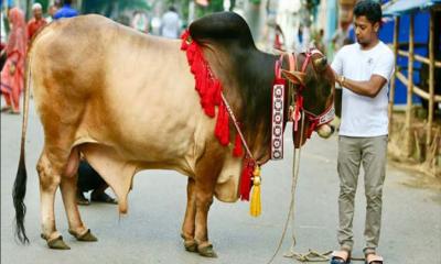 ইবাদত কবুলে কোরবানির সময় যা অবশ্যই মানতে হবে