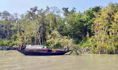 মুক্তিপণ দিয়ে বাড়ি ফিরলেন সুন্দরবনে গিয়ে অপহৃত ২ জেলে