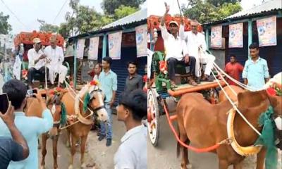 ‘ঘোড়া নিয়ে নয়, ঘোড়ার গাড়ি নিয়ে প্রচারণা করেছি’