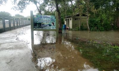 রেমালের প্রভাবে সুন্দরবন প্লাবিত