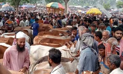 অতিরিক্ত হাসিল আদায়ের অভিযোগ