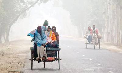 দেশের ১৯ জেলায় বইছে মৃদু শৈত্যপ্রবাহ