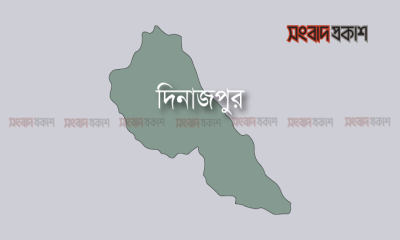 মানসিক ব্যক্তির ধারাল অস্ত্রের কোপে বৃদ্ধ নিহত