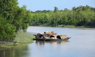 সুন্দরবনে ২ জেলেকে অপহরণ করে মুক্তিপণ দাবি