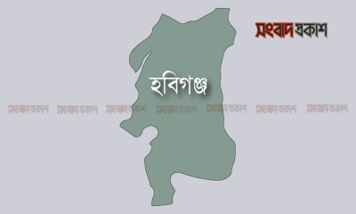 সড়ক দুর্ঘটনায় ছাত্রদল নেতাসহ নিহত ২