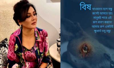 ক্ষুধার্ত কুকুরকে খাবার সেধে খাওয়ালো বিষ, বিচারের দাবি  জয়ার