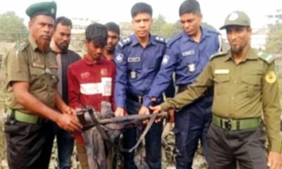 কিশোরগঞ্জে থানা থেকে লুট হওয়া শটগান মিলল পুকুরপাড়ে