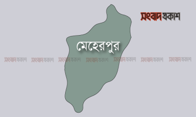 হিট স্ট্রোকে গৃহবধূর মৃত্যু