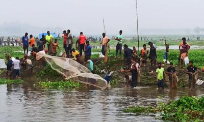 ঠাকুরগাঁওয়ের বুড়ির বাঁধে মাছ ধরা উৎসব