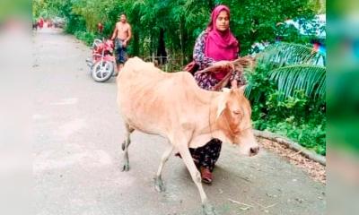 অবশেষে চাকরি হারালেন হাসিনা