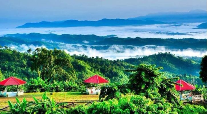 ক্লাবঘর-বারান্দায় রাত কাটাচ্ছেন শত শত পর্যটক