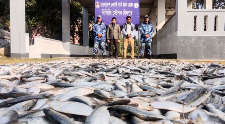 ১৮৭ মণ জাটকা ইলিশ জব্দ, দুস্থদের মধ্যে বিতরণ