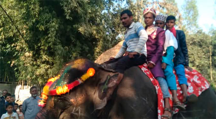 মায়ের স্বপ্ন পূরণে হাতির পিঠে চড়ে বিয়ে করতে গেলেন জাকারিয়া