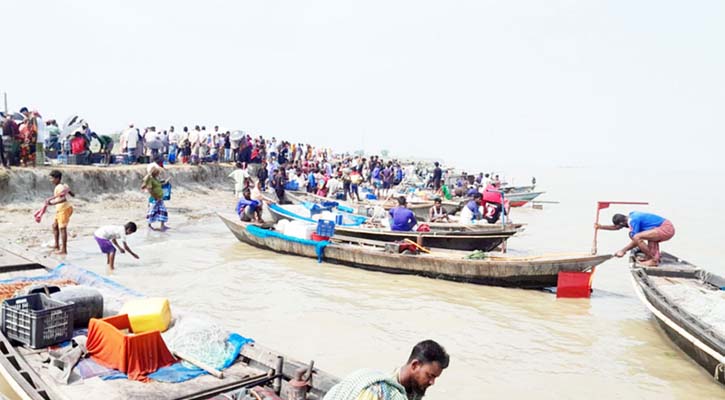 নৌকায় ইলিশের রমরমা বেচাকেনা