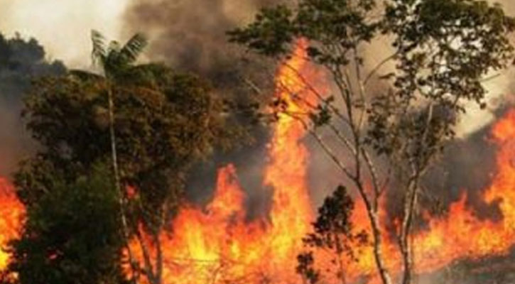 ১৭ ঘণ্টা পরও নিয়ন্ত্রণে আসেনি সুন্দরবনের আগুন