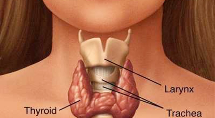 থাইরয়েড কী, লক্ষণ ও করণীয়