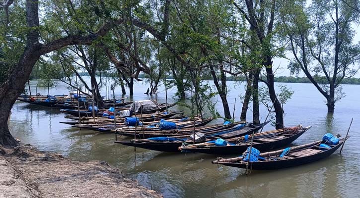 সেপ্টেম্বরে খুলছে সুন্দরবন, ব্যস্ততা বেড়েছে বনজীবীদের