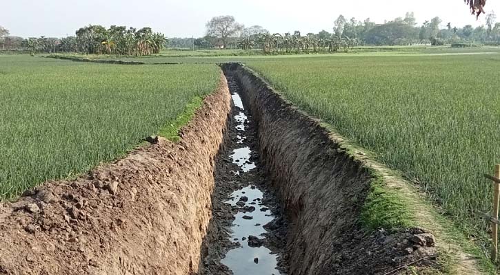 পেঁয়াজক্ষেতে খাল খনন করে ইটভাটায় মাটি বিক্রি