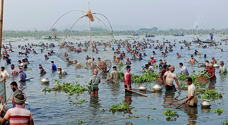 চলনবিলে বাউৎ উৎসবে মেতেছেন সৌখিন শিকারিরা