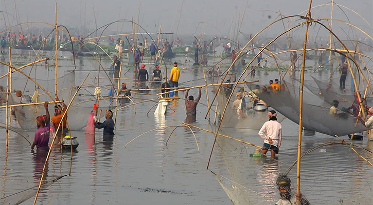 চলনবিলে মৎস্য শিকারিদের বাউৎ উৎসব