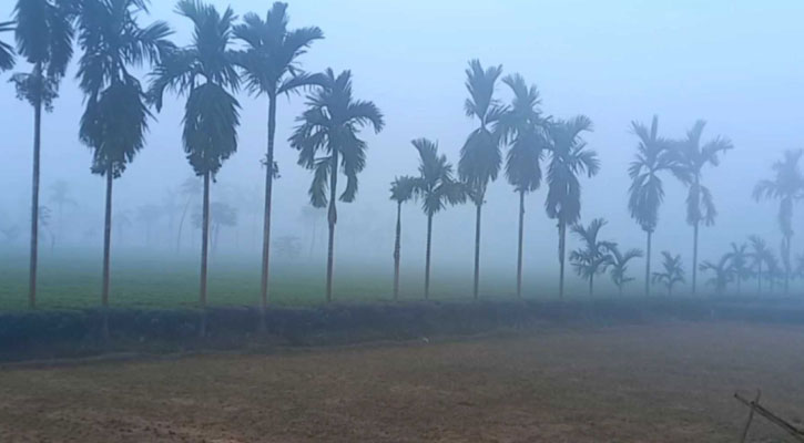 শীতে কাঁপছে তেঁতুলিয়া, তাপমাত্রা নামল ১১ ডিগ্রিতে