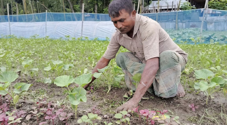 অতিবৃষ্টিতে বেড়েছে শাকসবজির দাম