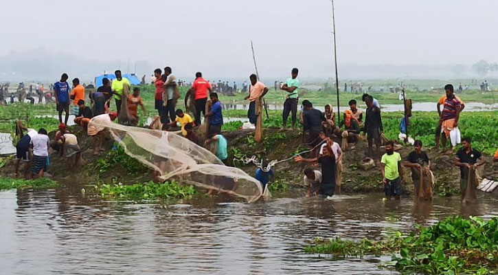 ঠাকুরগাঁওয়ের বুড়ির বাঁধে মাছ ধরা উৎসব