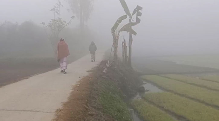 শীতে কাঁপছে তেঁতুলিয়া, তাপমাত্রা নামল ১২ ডিগ্রিতে