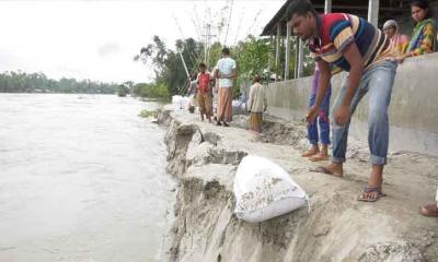 বিপৎসীমার ওপরে তিস্তার পানি, চলছে তীব্র ভাঙ্গন