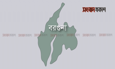 সড়কে প্রাণ গেল মা ও ছেলের