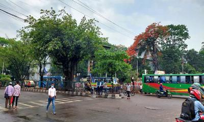 নিউমার্কেট এলাকায় যান চলাচল স্বাভাবিক, দোকান এখনো বন্ধ