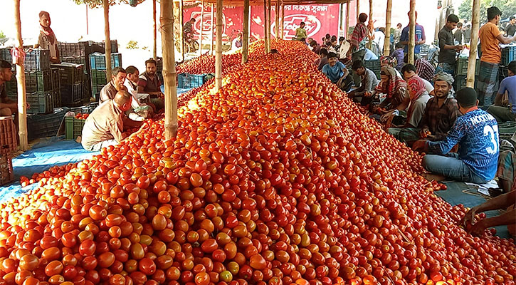 প্রতিদিন কোটি টাকার টমেটো বিক্রি হয় যে বাজারে