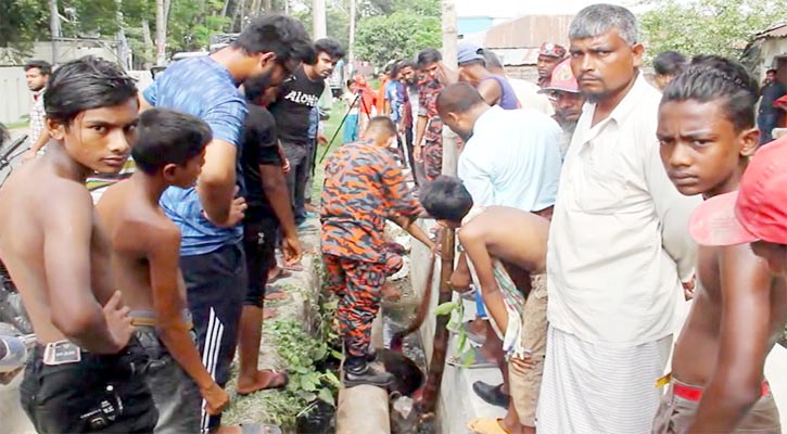 ৯৯৯-এ ফোন, ড্রেনে আটকে পড়া গরু উদ্ধার করল ফায়ার সার্ভিস