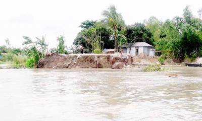 যমুনায় দ্রুত বাড়ছে পানি, দেখা দিয়েছে ভাঙন