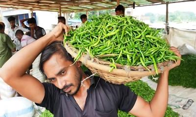 ফের নিয়ন্ত্রণহীন কাঁচা মরিচের বাজার