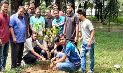 জাবিতে বাঁধনের বৃক্ষরোপণ কর্মসূচি