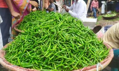 যশোরে ফের বাড়ল কাঁচা মরিচের দাম