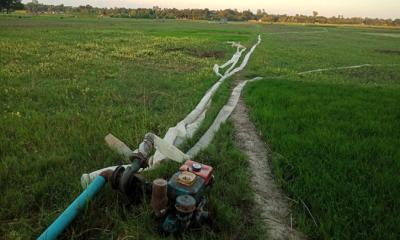 বাড়তি খরচে চাষাবাদে দুশ্চিন্তার ছাপ কৃষকদের