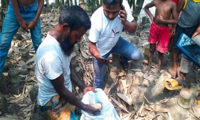 গরিবের জন্য সরকারের বরাদ্দ চাল মিলল বাঁশঝাড়ে