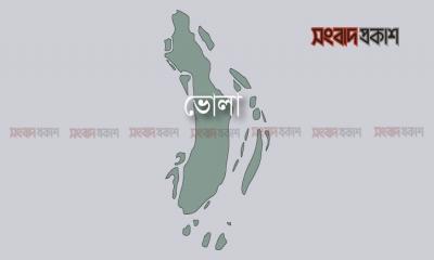 পানিতে ডুবে ভাই-বোনের মৃত্যু